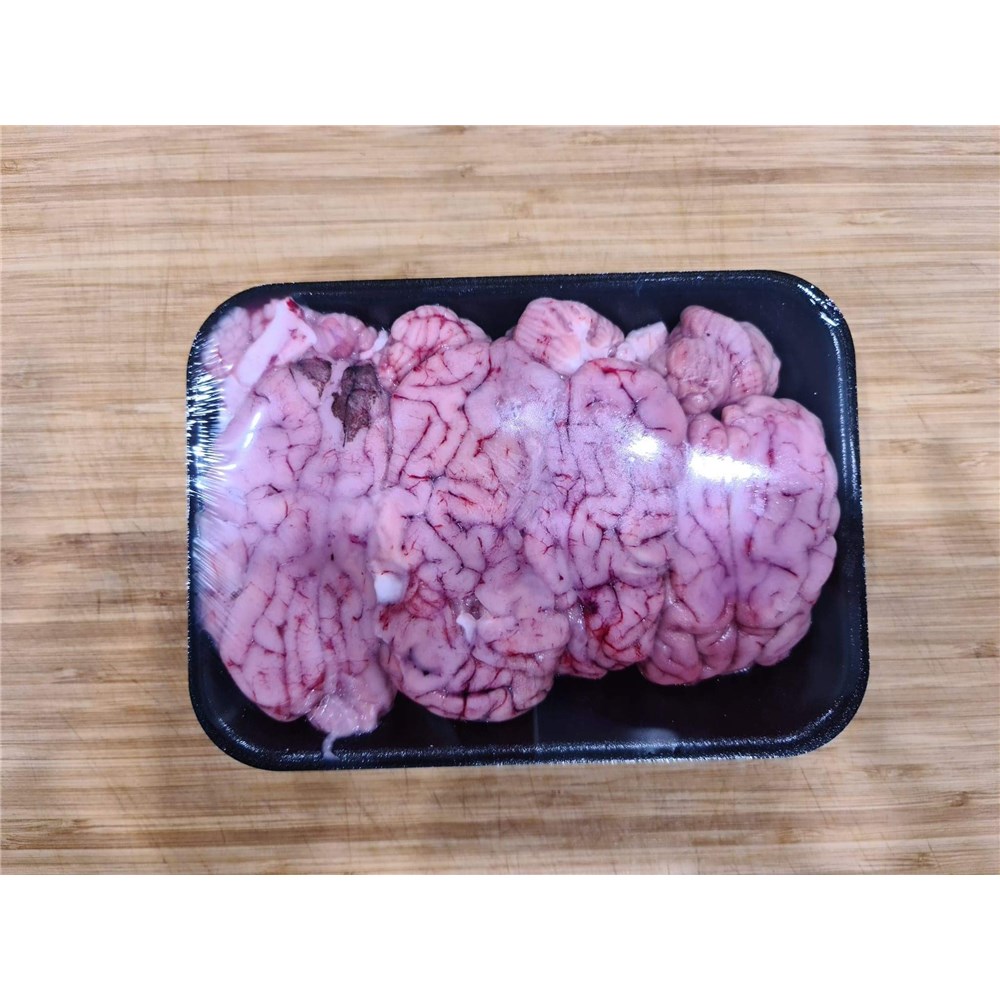 Brains