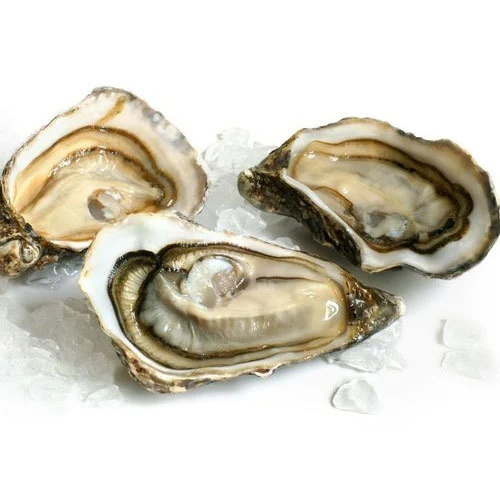 Fresh Seafood