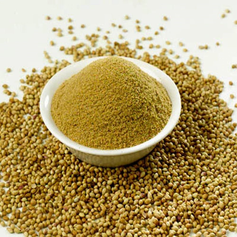Coriander Ground 500gm Hoyts