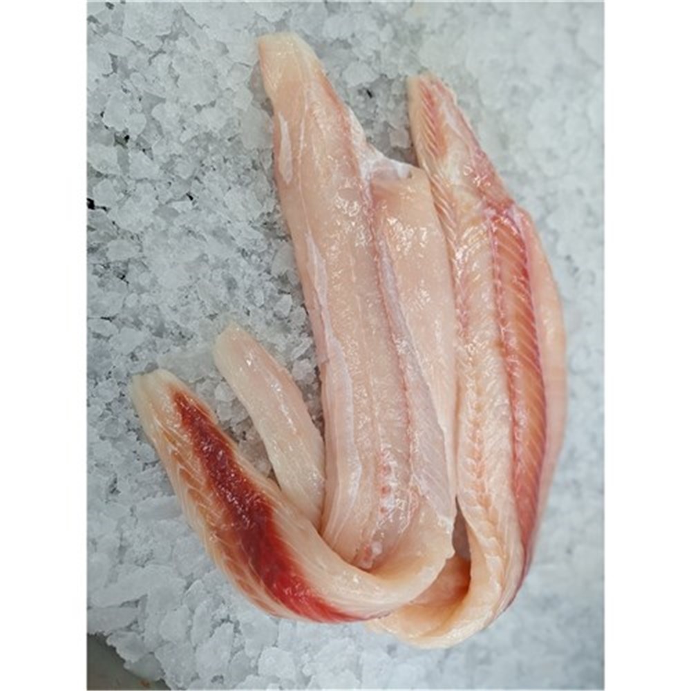 Flake- Fillets  Barwon  (R/W)