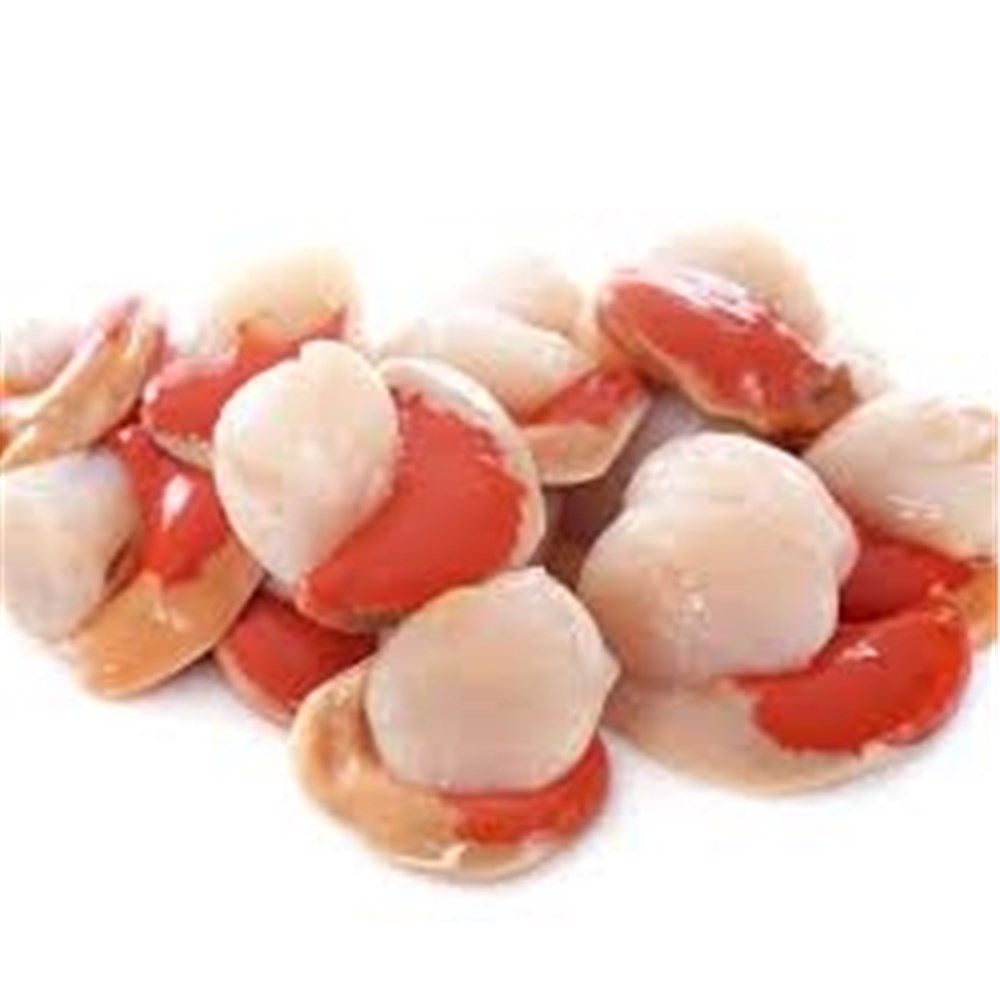 Scallops Local 500gm Tray