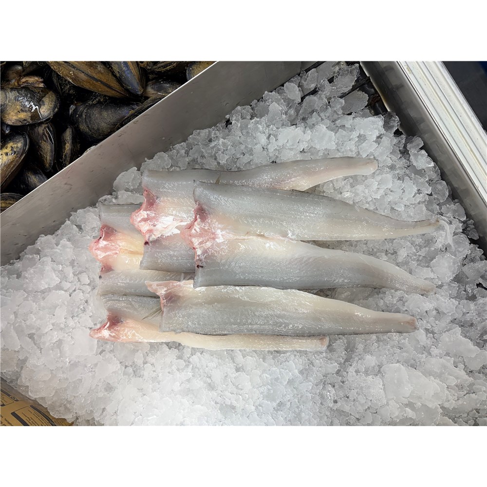 Whiting- King George (Medium/Large)  2.5kg 