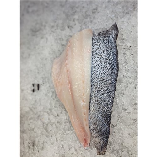 Blue Eye - Fresh - Fillets