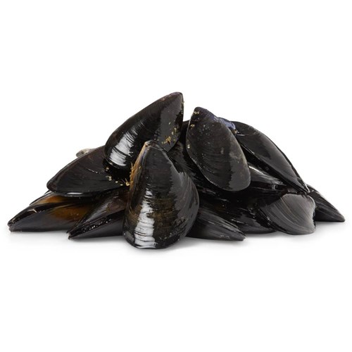 Mussels - Black   Whole
