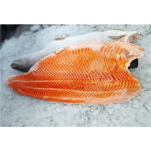 Ocean Trout - Fillets (Wing On)