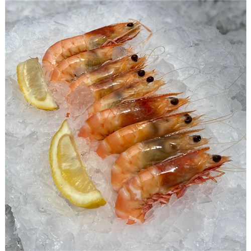 Prawns- King- Large (U/10) Cooked 