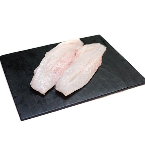 Rockling- Fillets