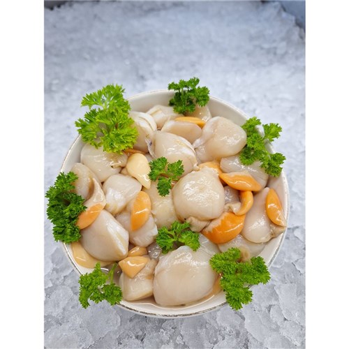 Scallops - Fresh