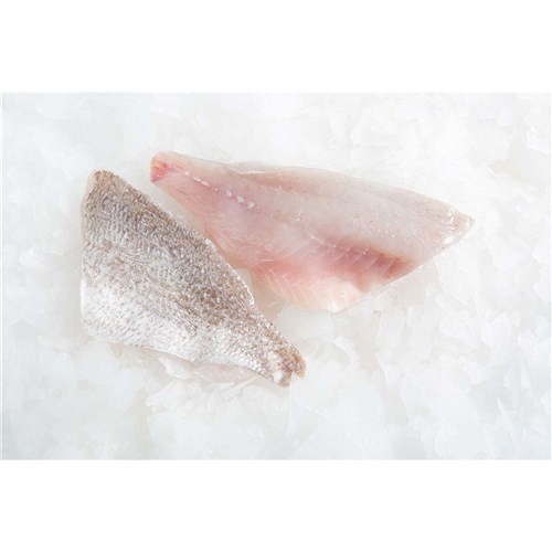 Snapper- Fillets