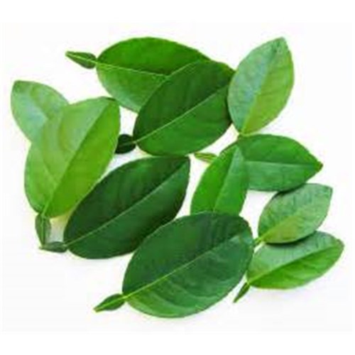 Lime Leaves Frozen 100gm
