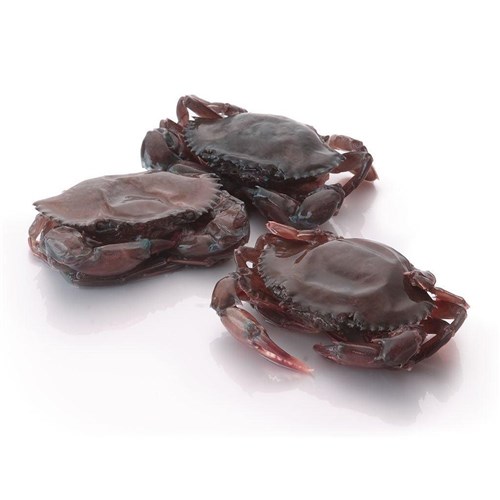 Crab- Soft Shell  100/120gm (1kg) 