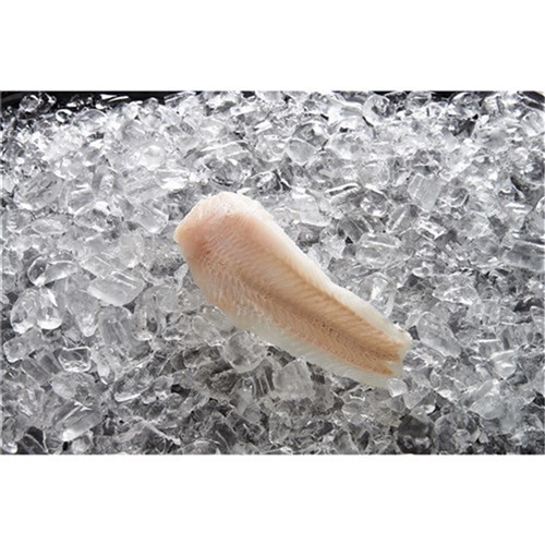 Hake  4/6 S/less 1 x 5 kg I&J  