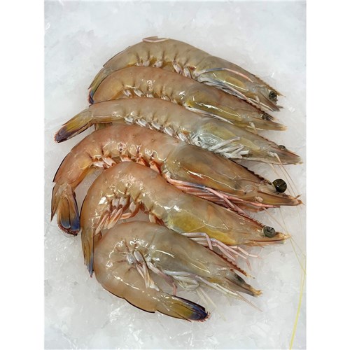 Prawns - King Green - U/8  (Extra Large) 
