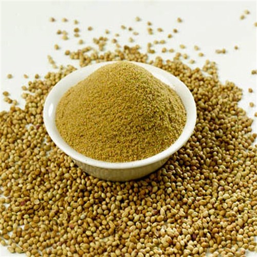 Coriander Ground 500gm Hoyts