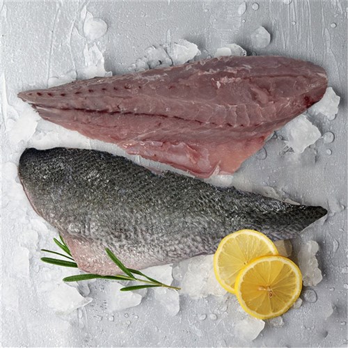 Mulloway - Fillets