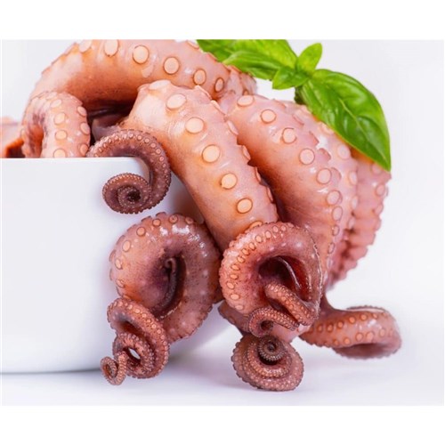 Octopus- Tentacles  (1kg Tray) 