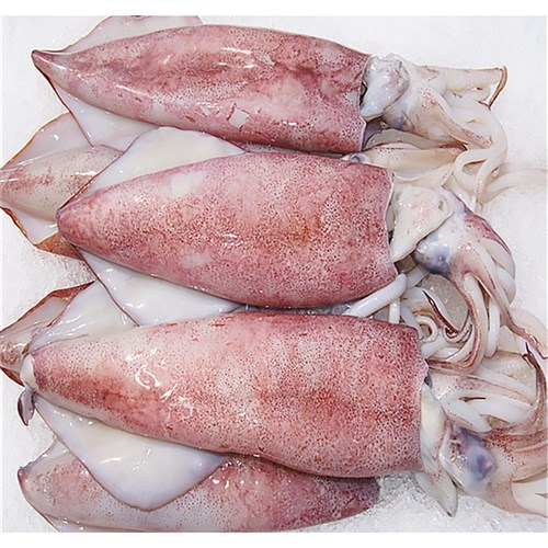 Calamari- Whole  Local  (1kg)