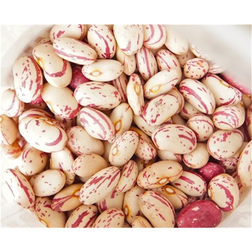 Borlotti Beans 1kg