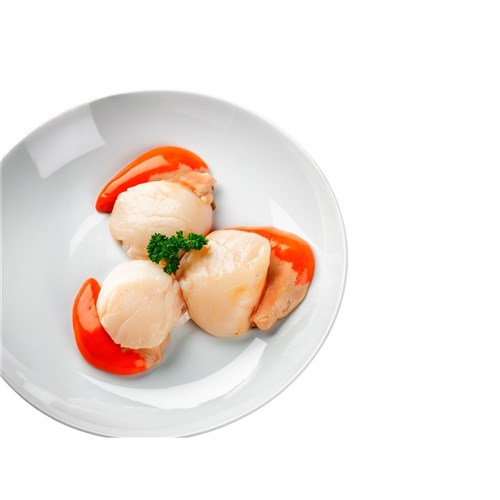 Scallops Peru 20/30 IQF 1kg 
