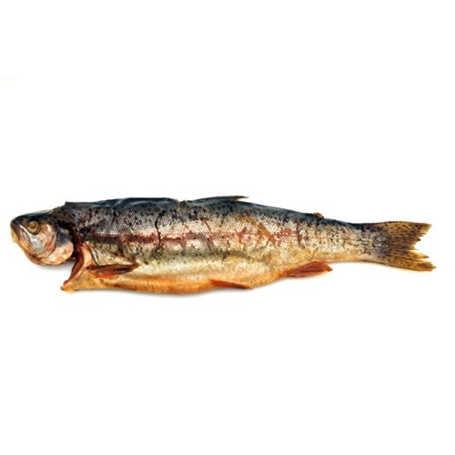 Rainbow Trout- Whole  (Smoked) 