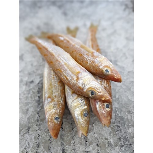 Whiting - (Silver) Whole 