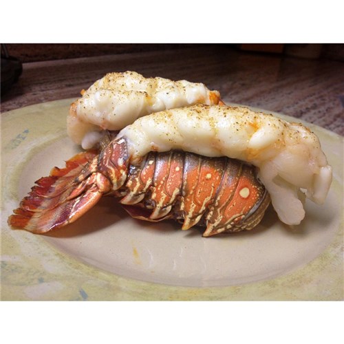 Lobster Tails 10oz to 12oz 4.54kg