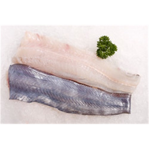 Blue Grenadier- Fillets  (Fresh) 