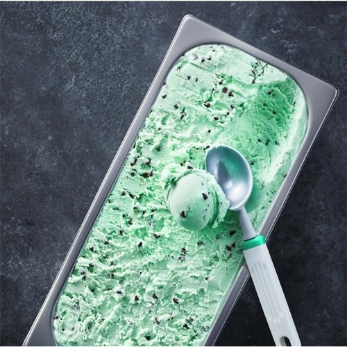 Ice Cream Peppermint Chip 5lt