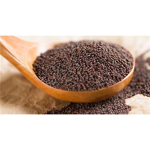 Mustard Seeds Brown 650gm