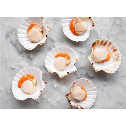 Half Shell Scallops - FRESH - 1 DOZ