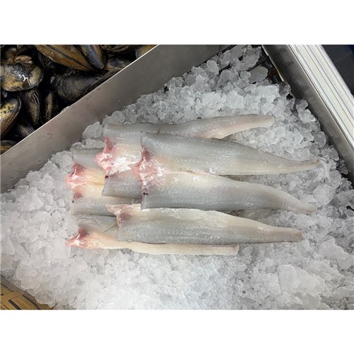 Whiting- King George (Medium/Large)  2.5kg 
