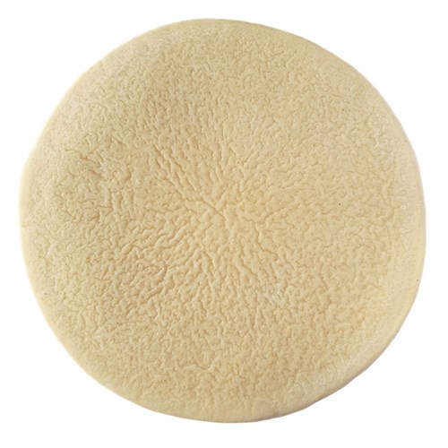 Gluten Free Pizza Bases 12" (Large)