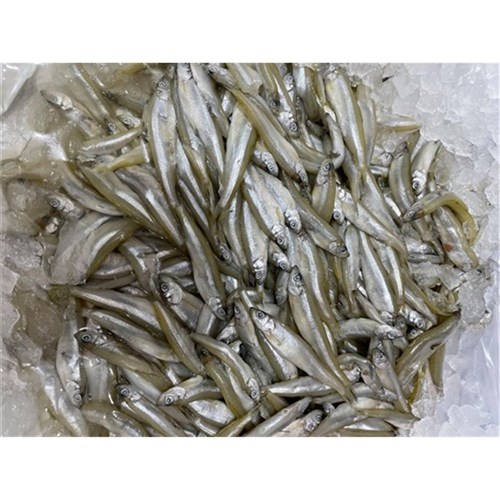 White Bait IQF (Glassies) 1kg