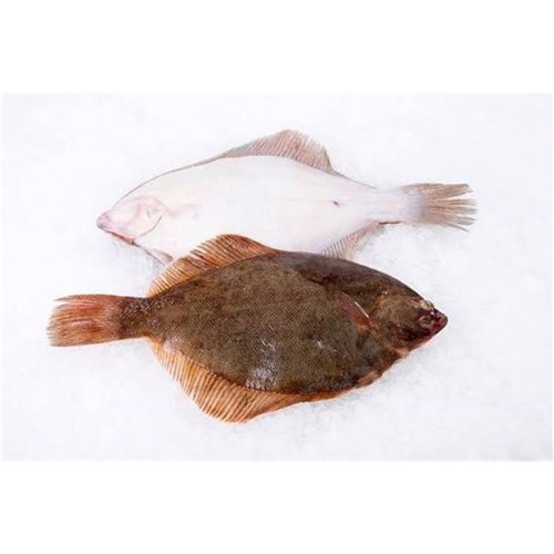 Flounder Fresh  Whole - Unclean (A)